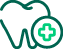 Dental Insurance Icon